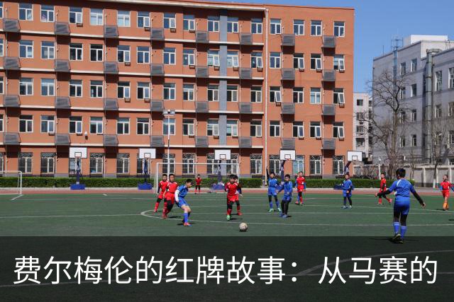 费尔梅伦的红牌故事：从马赛的“谢幕”到安特卫普的“复出